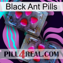 Black Ant Pills 15